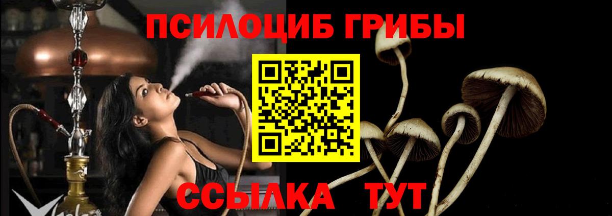 Галлюциногенные грибы Psilocybe  Галлюциногенные грибы мицелий  Вход с VPN  Видное 